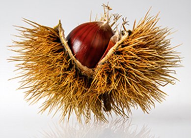 강남 블랙홀 호빠 프리미엄 분위기 이미지